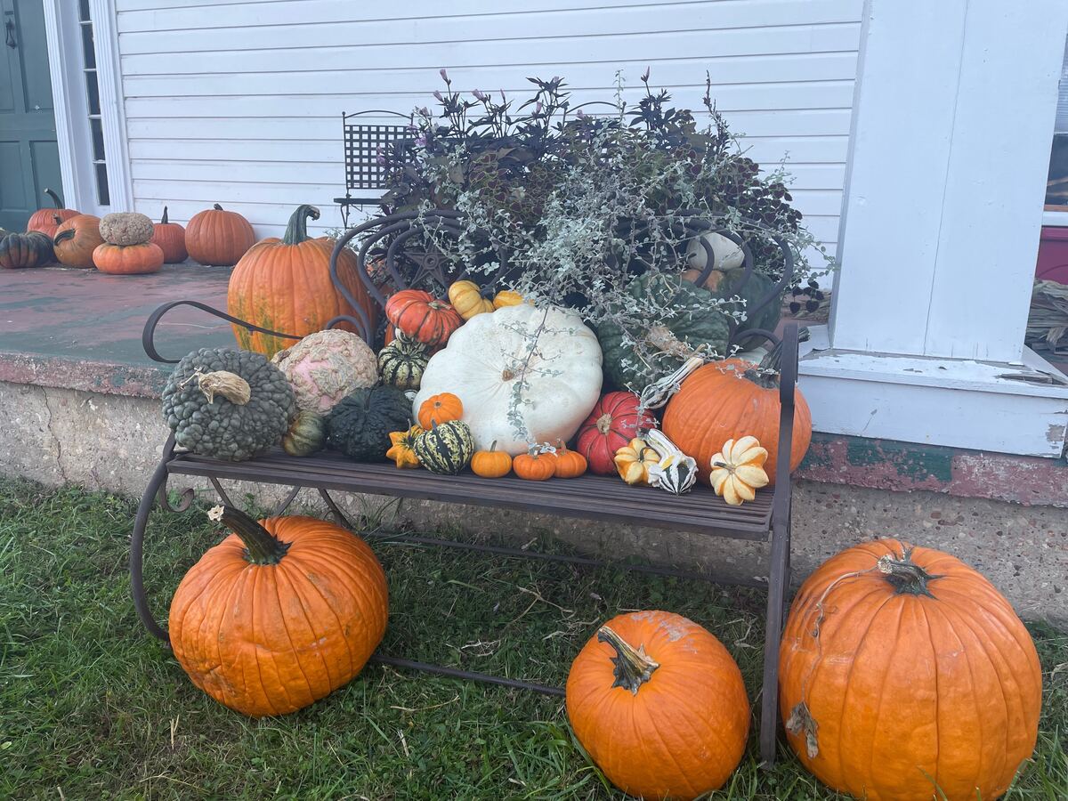 A wide front porch banked with pumpkins in graduated sizes