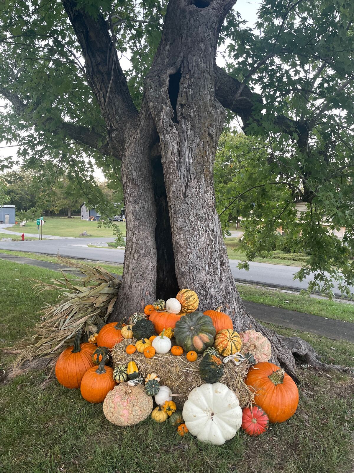 A doorway flanked by tall pumpkin arrangements