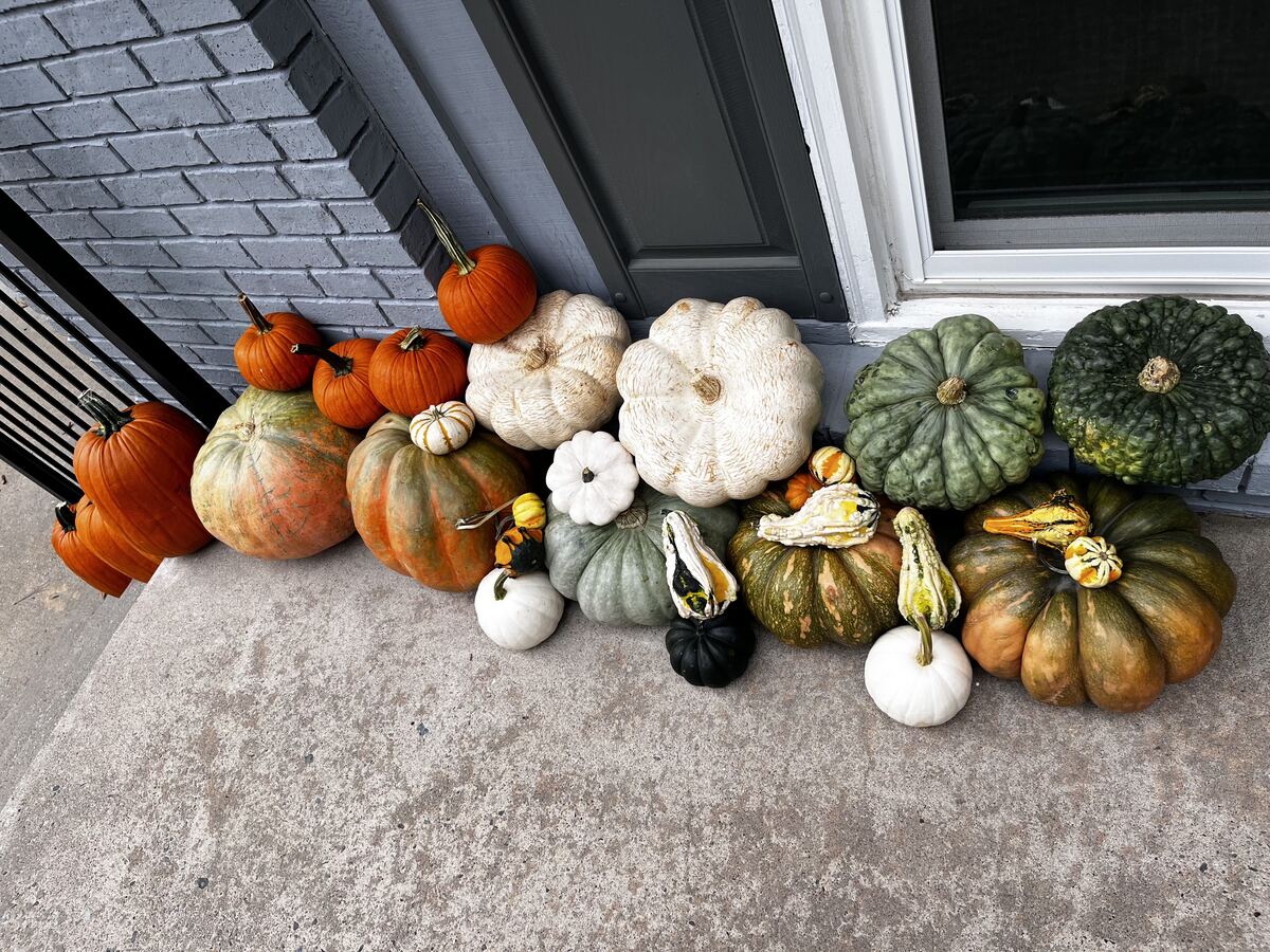 An assortment of heirlooms and gourds along a storefront window